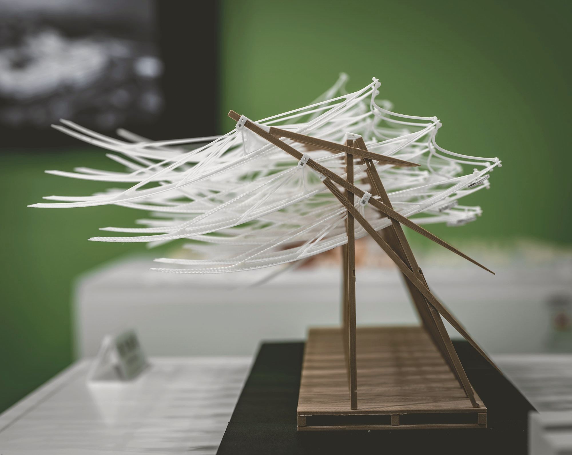 A timber and string architectural model